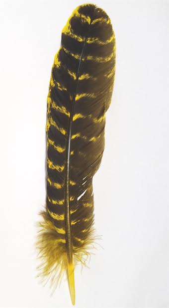 9 color 12-14 inch turkey quill