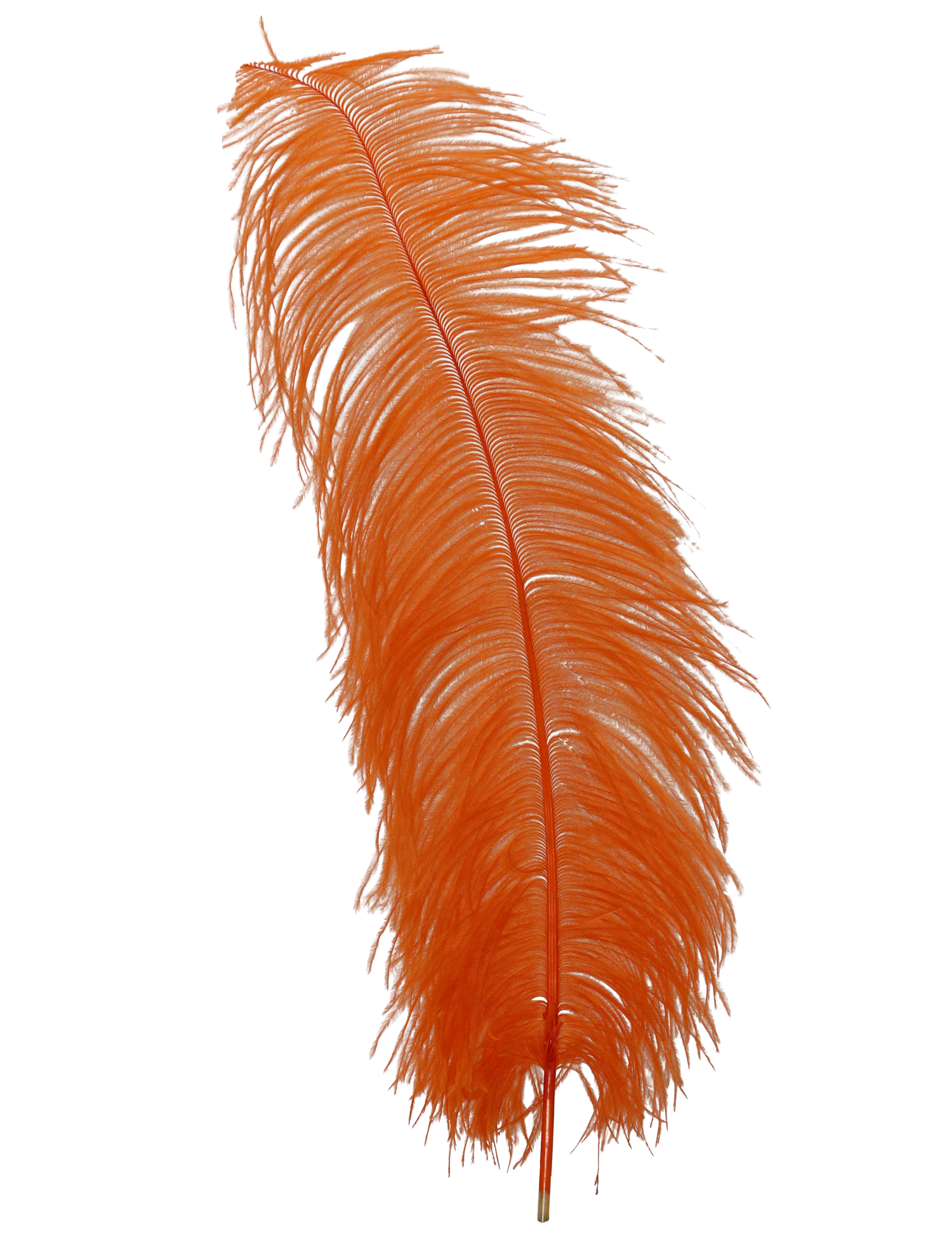 Wing Plumes 2nd Quality 20”+