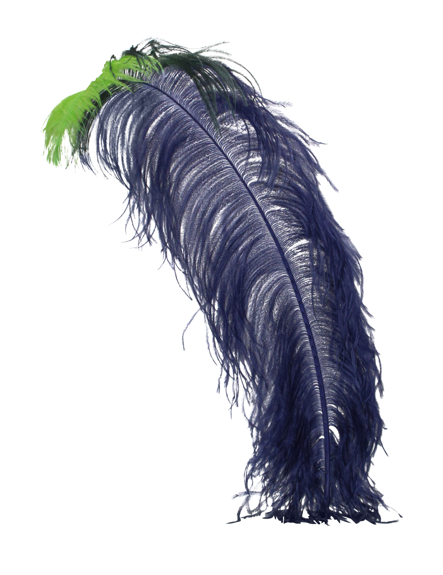 Ostrich Wings Plumes 2 Tone Navy with Apple Tip