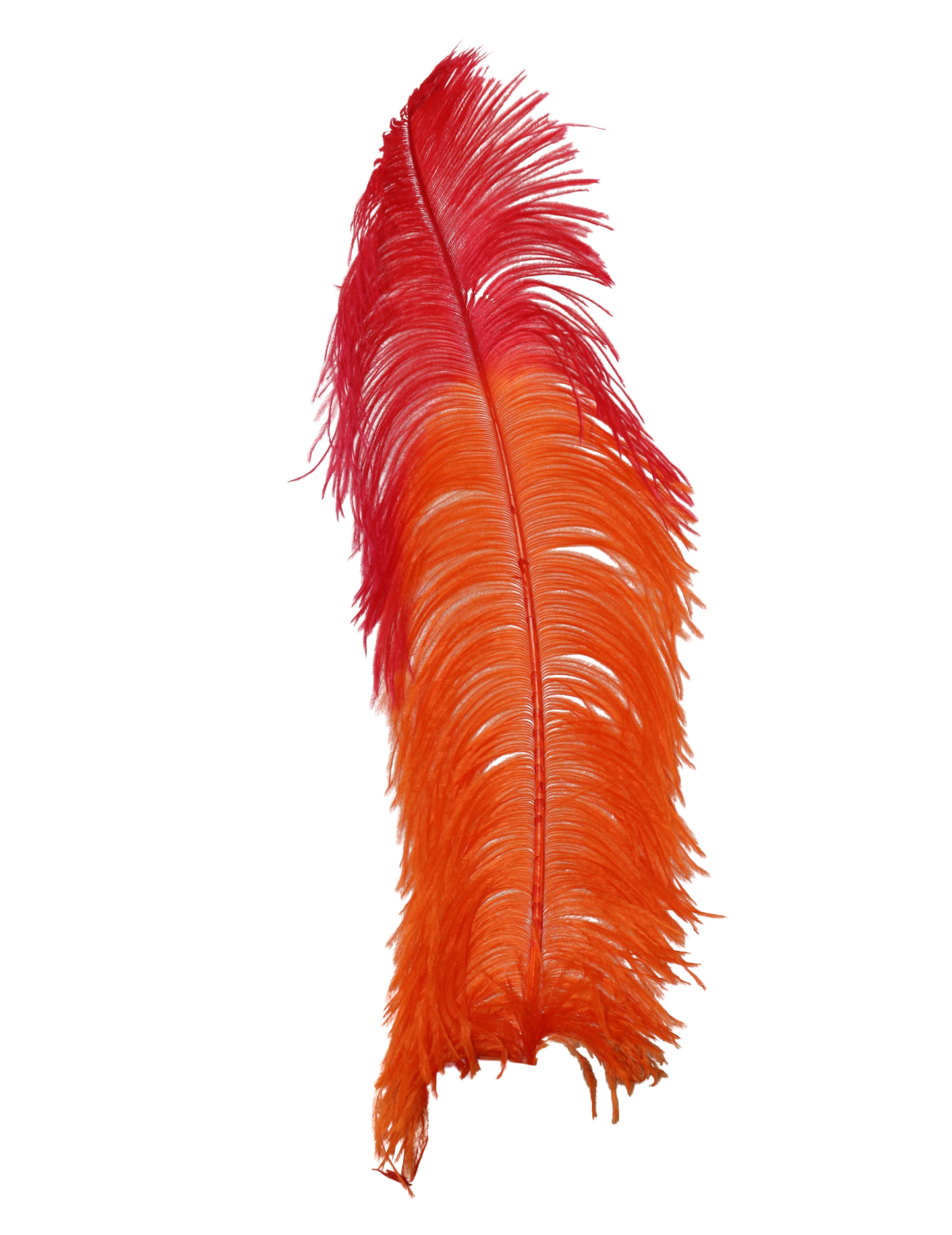 Ostrich Wings Plumes 2 Tone Orange with Red Tip