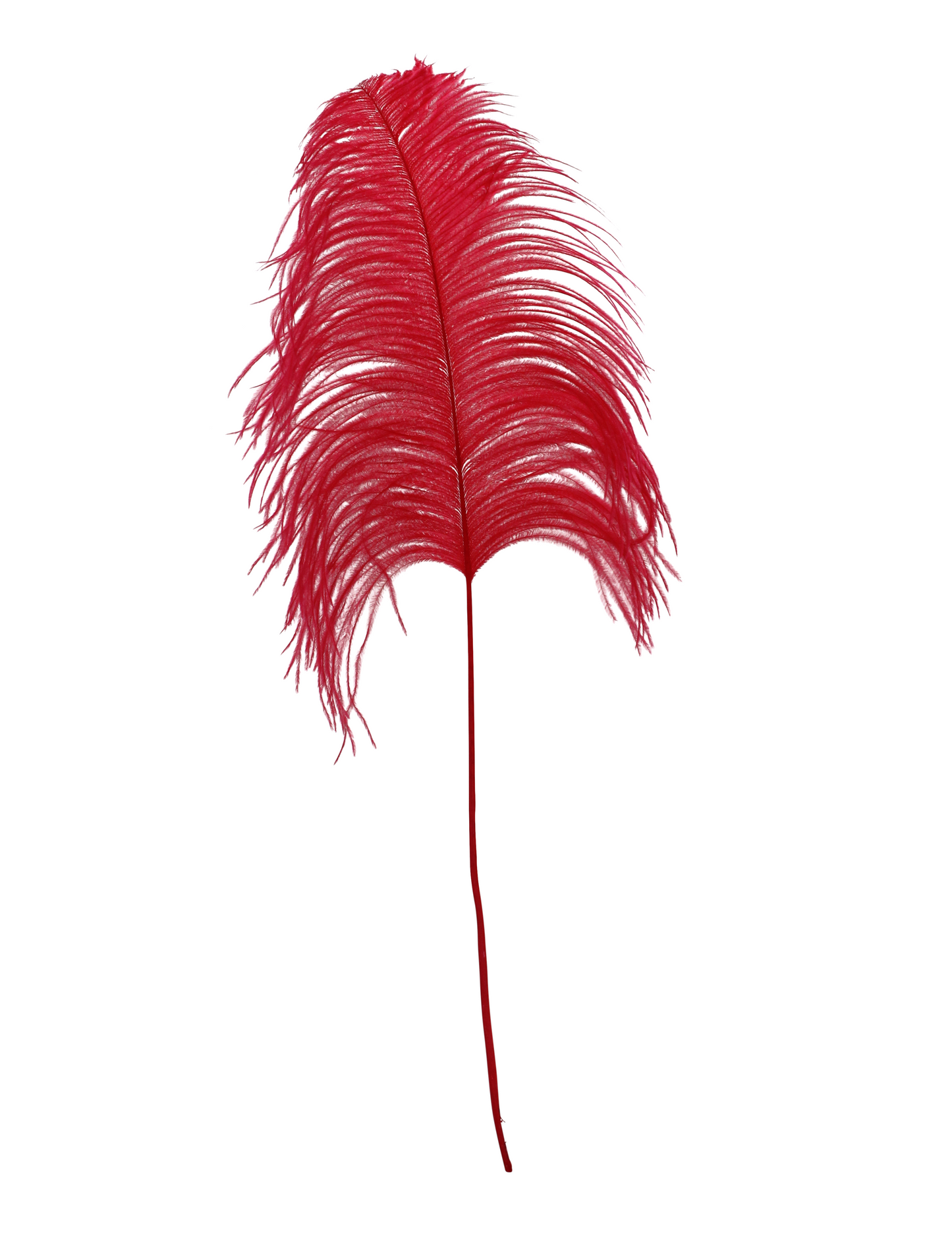 Ostrich Wing Plume Fat Tip Red