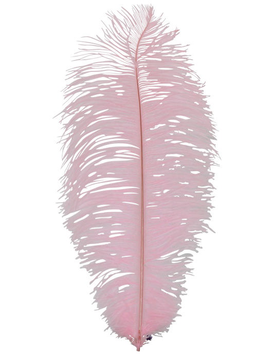 Ostrich Drabs 13-17" H64 Baby Pink