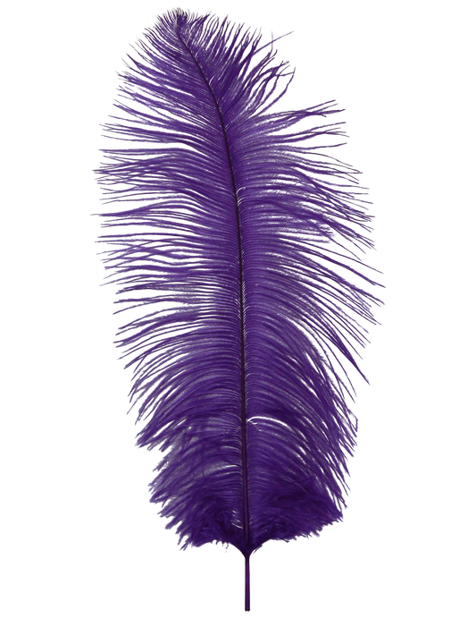 Ostrich Drabs 13-17" H75 Purple