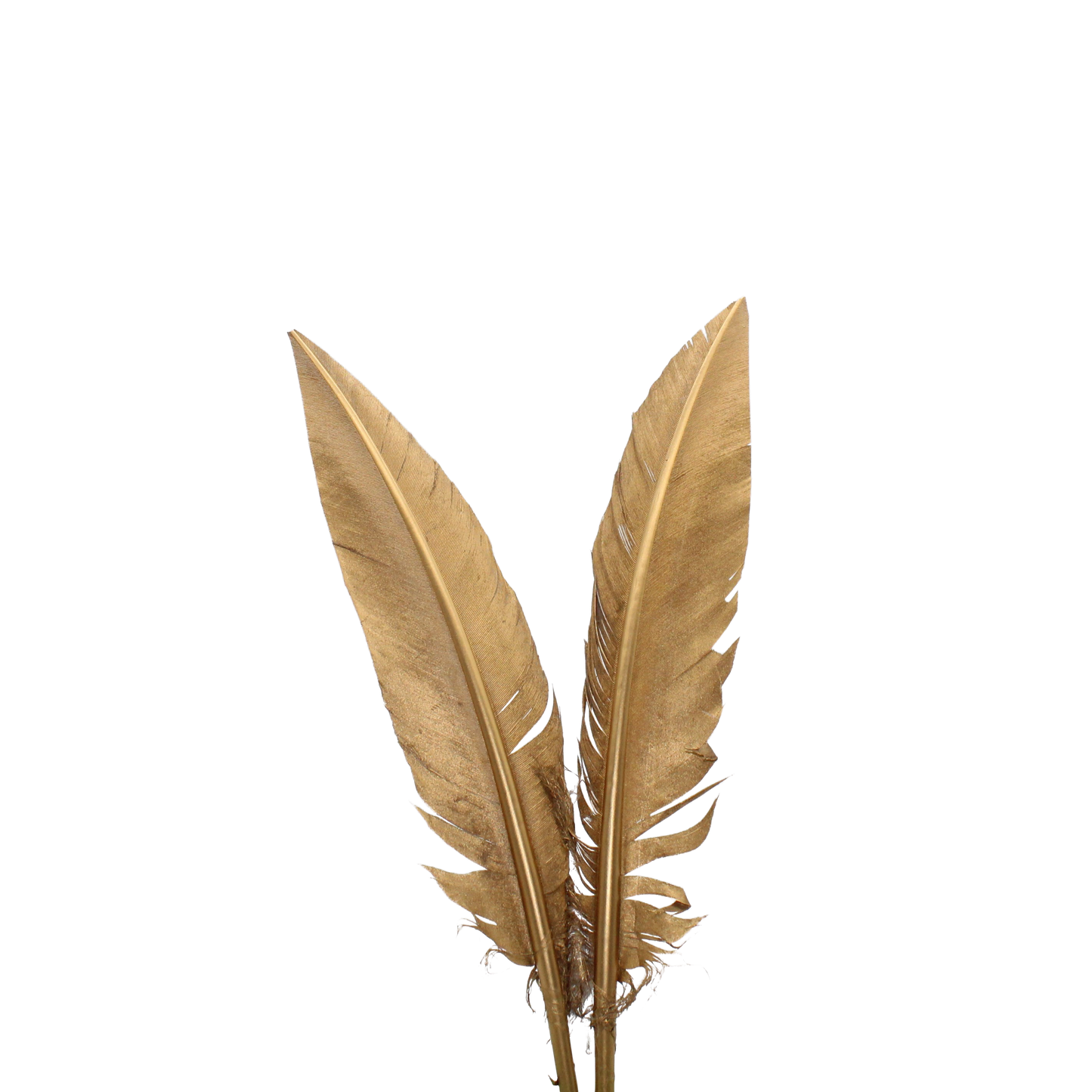 Turkey Quills Pieces Arrow Cut MetallicGold