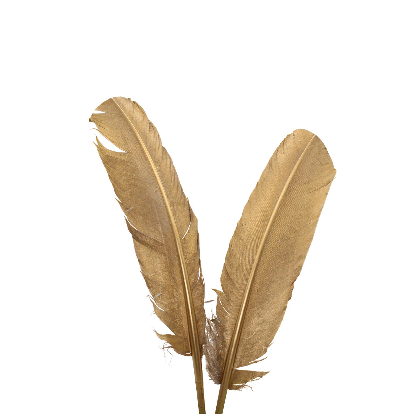 Turkey Quills Pieces Metallic Gold