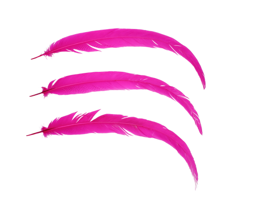 Pheasant Silvertail 18-24" H69 Hot Pink