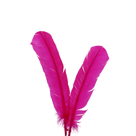 Turkey Quills H70 Fuschia