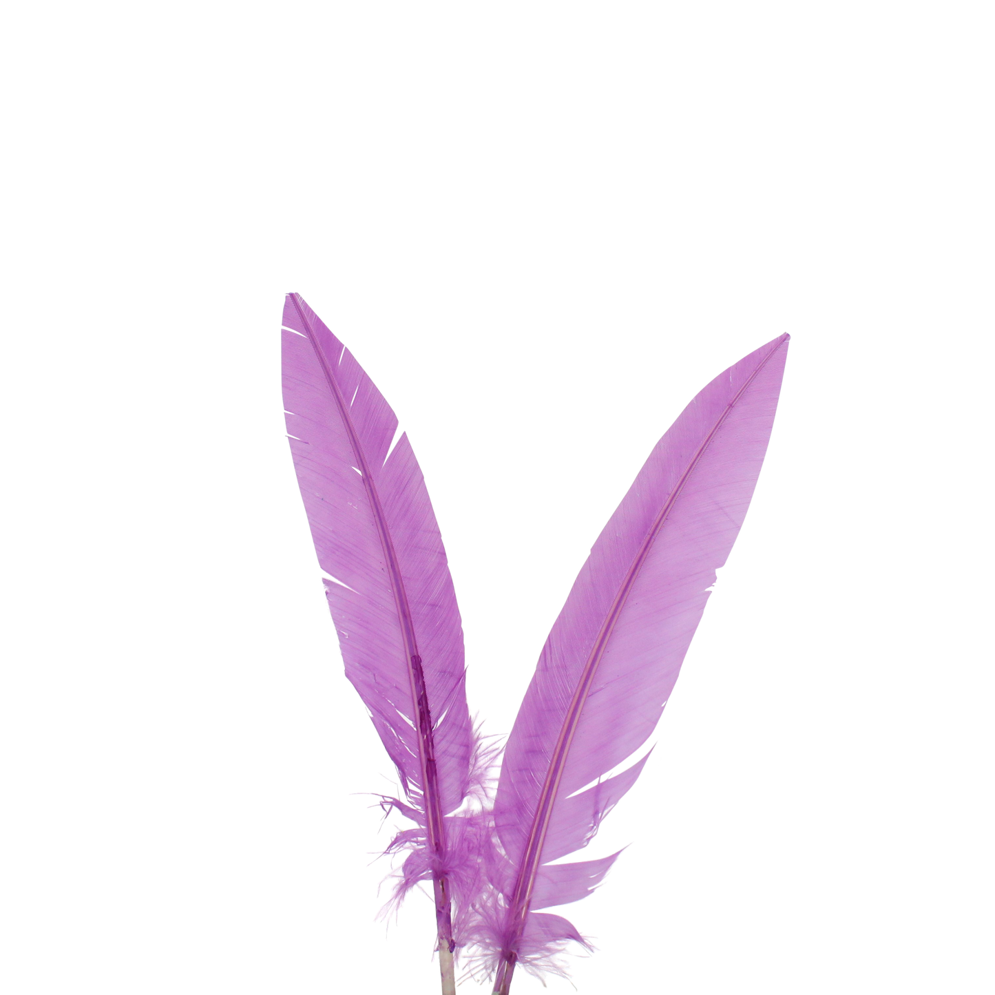 Turkey Quills Arrow Cut H74 Lilac