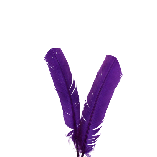 Turkey Quills H75 Purple