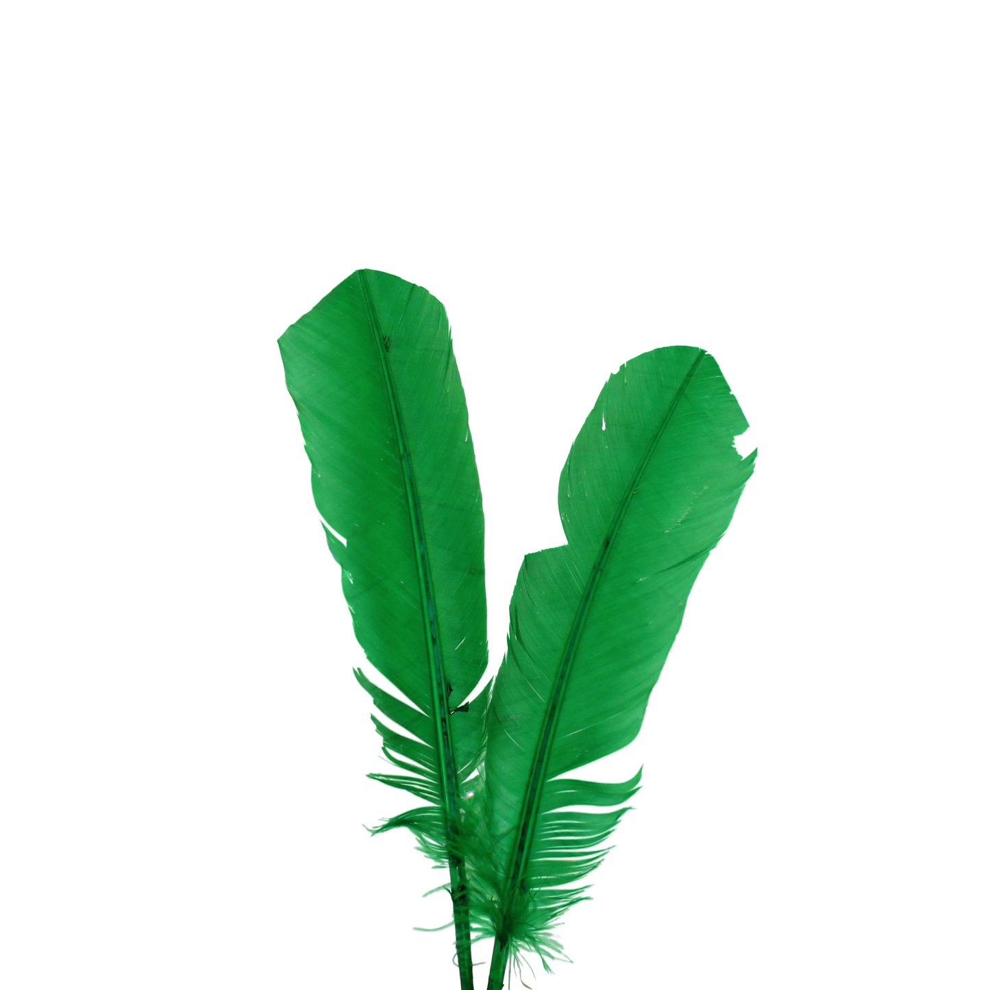 Turkey Quills H9 Emerald Green