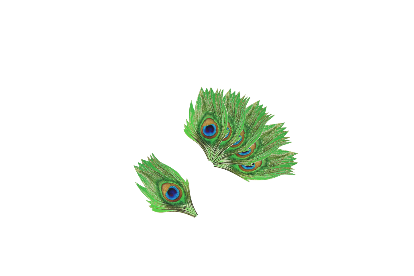 MD 2" Polyester Peacock Eye 6pk