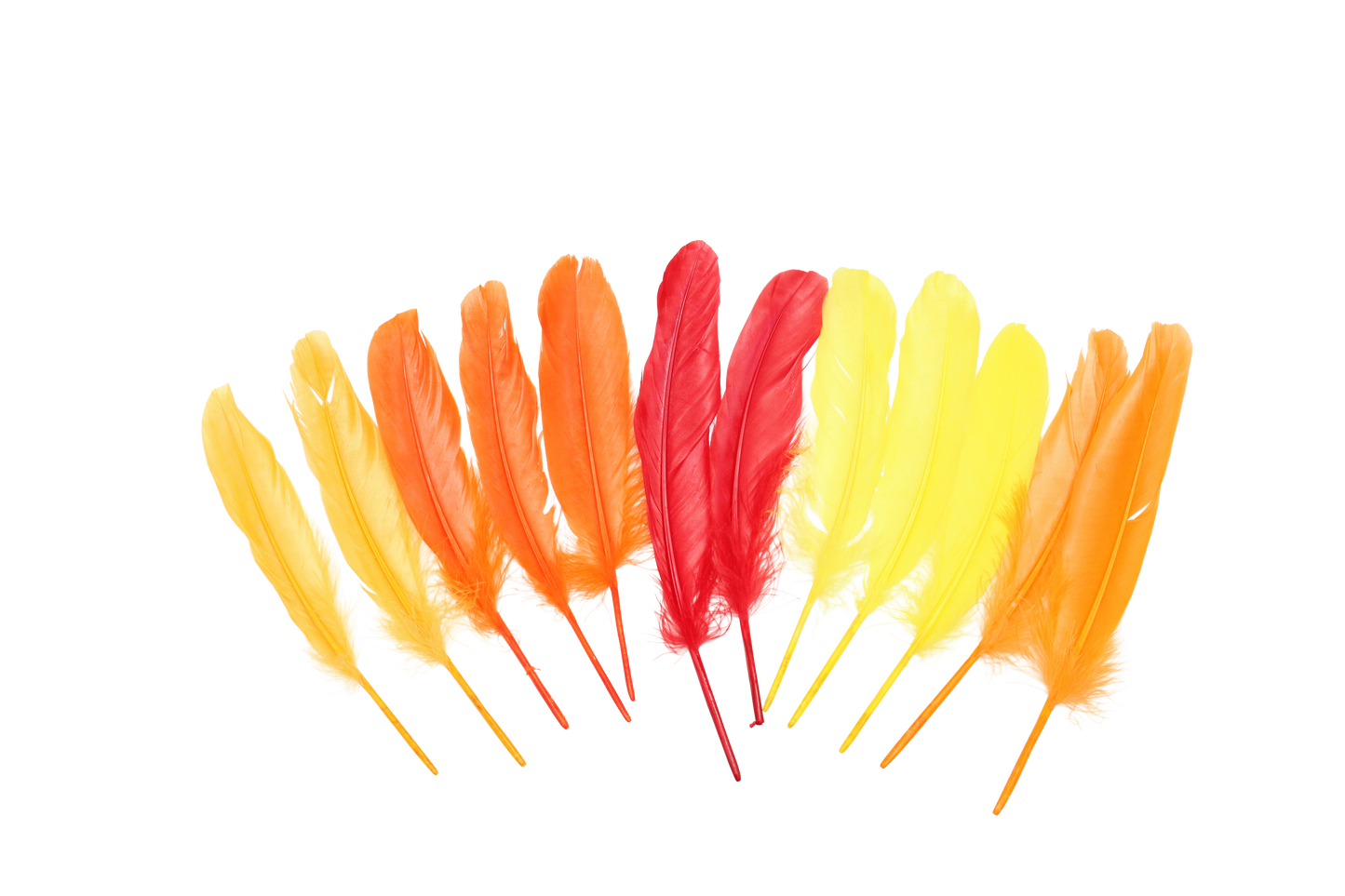 MD 7" Short Quills Assorted Warm Mix (12pk)