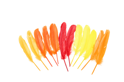 MD 7" Short Quills Assorted Warm Mix (12pk)