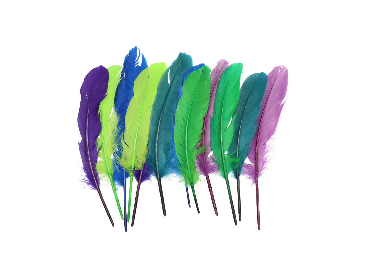 MD 7" Short Quills Assorted Cool Mix (12pk)