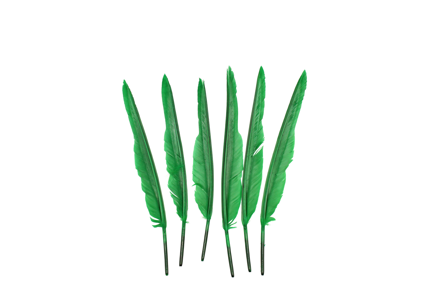 MD 10" & Up Quill Pointers Emerald 6pk