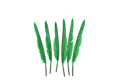 MD 10" & Up Quill Pointers Emerald 6pk