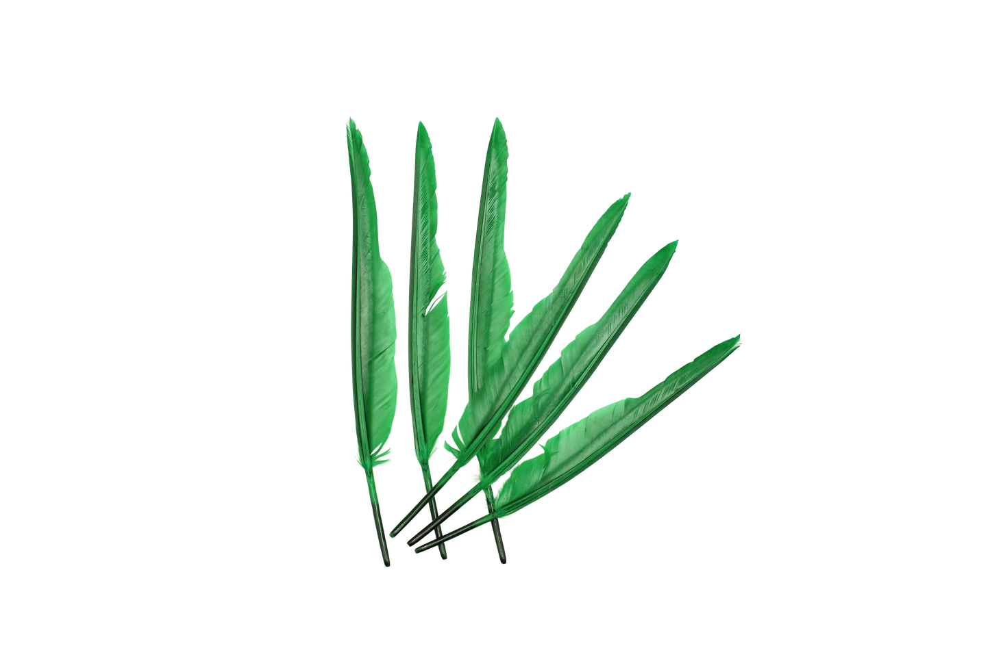 MD 10" & Up Quill Pointers Emerald 6pk