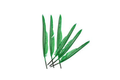 MD 10" & Up Quill Pointers Emerald 6pk