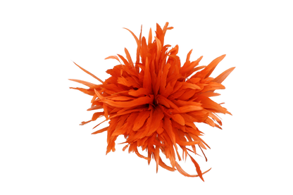 10" Cocktail Yards H62 Orange