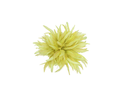 5-7” Schlappen Yards Bleach Dyed Neon Yellow