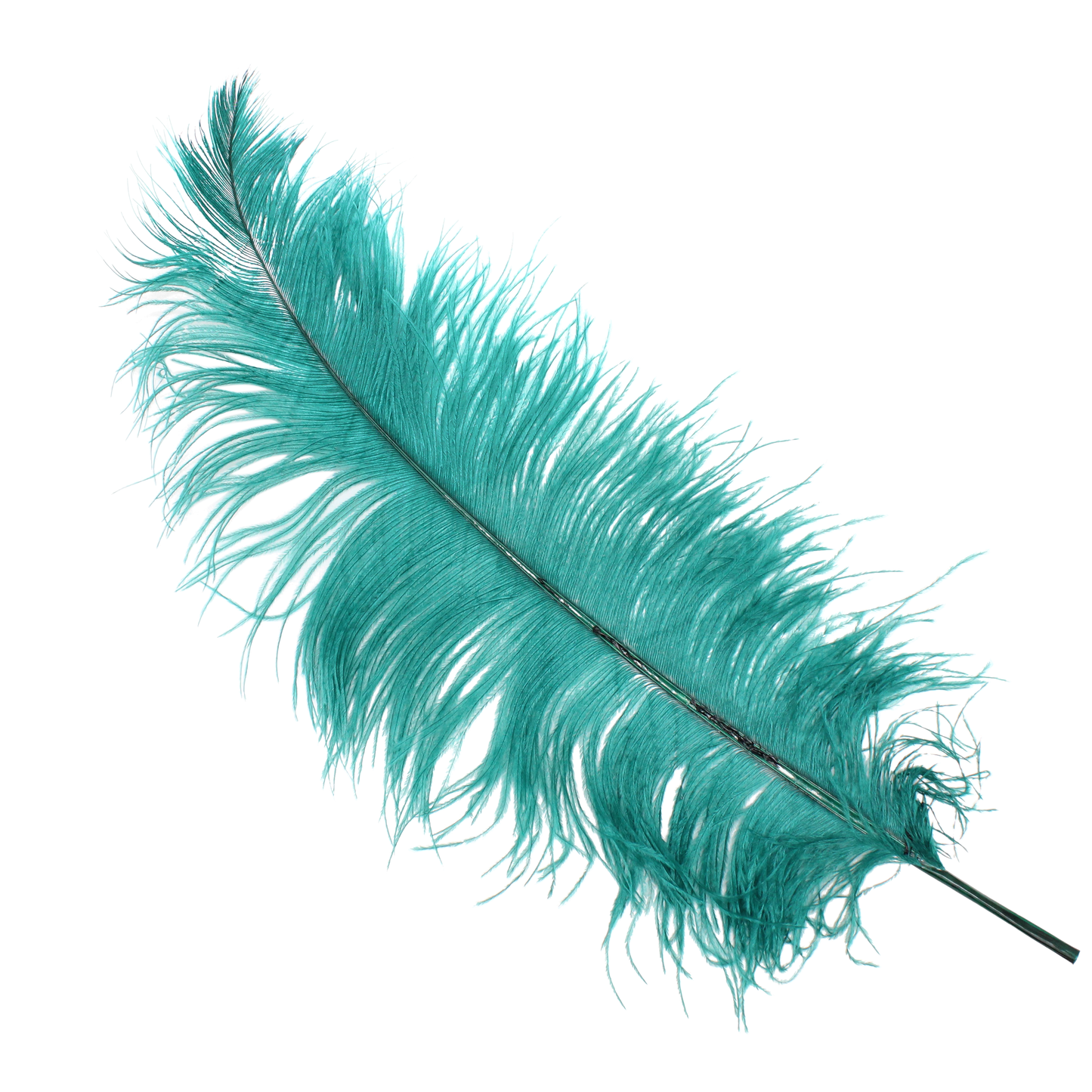 Ostrich Wing Plumes 2nd Quality20"+ H3 Teal