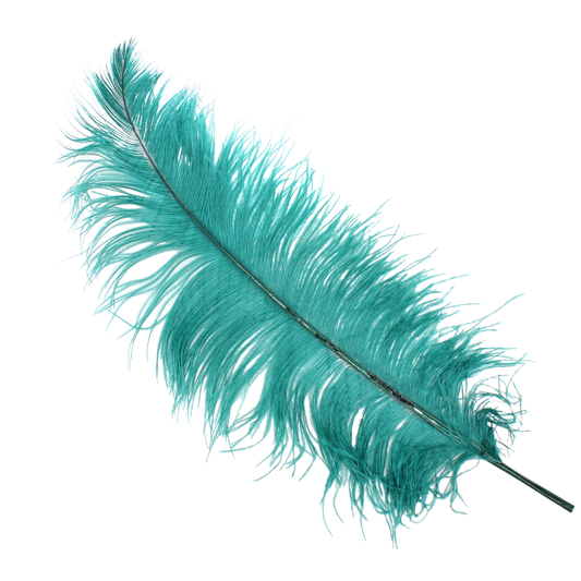 Ostrich Wing Plumes 2nd Quality20"+ H3 Teal