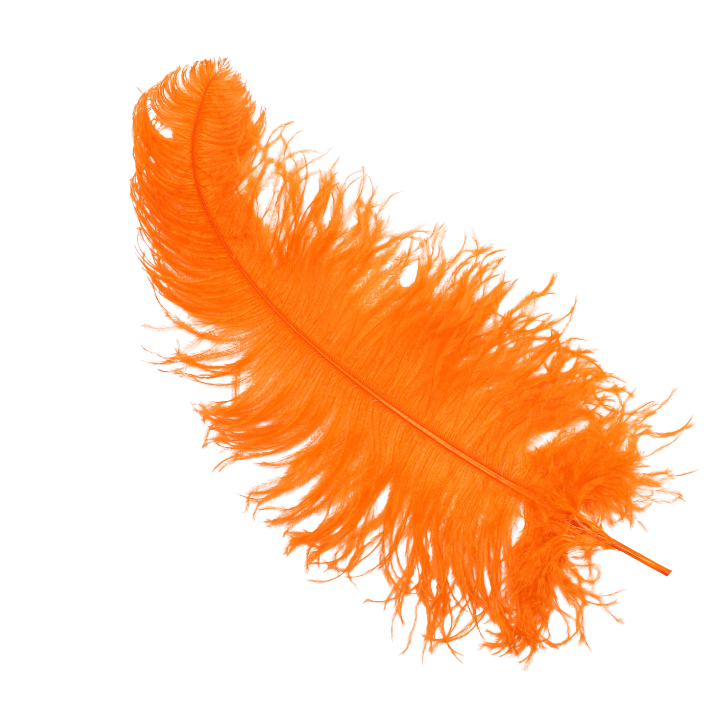 Ostrich Wing Plumes 2nd Quality20"+ H62 Orange