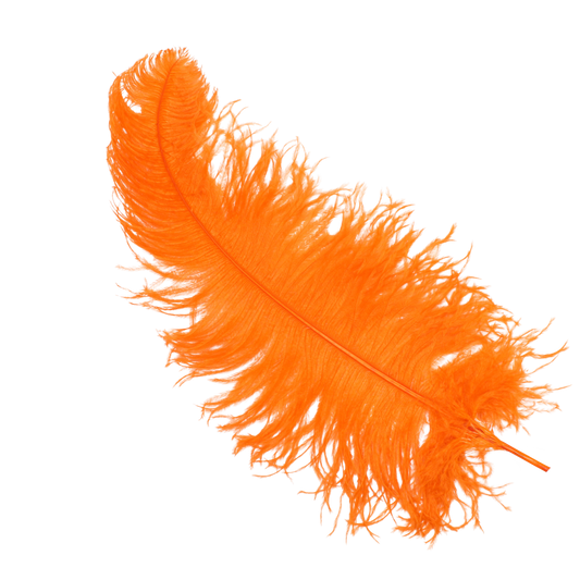 Ostrich Wing Plumes 2nd Quality20"+ H62 Orange