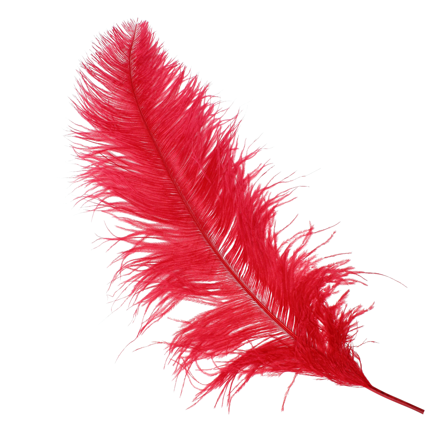 Ostrich Wing Plumes 2nd Quality20"+ H72 Red