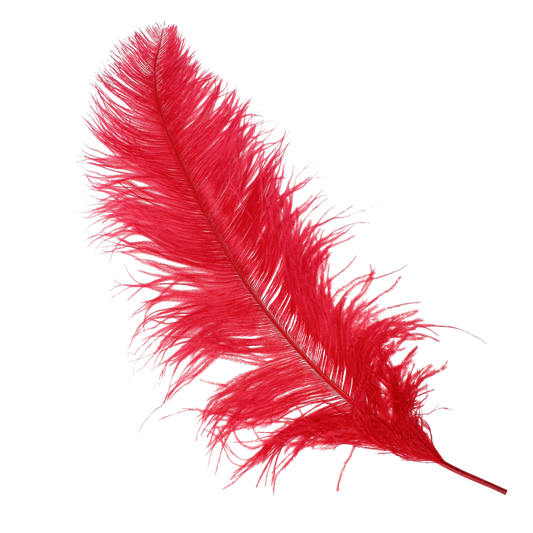 Ostrich Wing Plumes 2nd Quality20"+ H72 Red