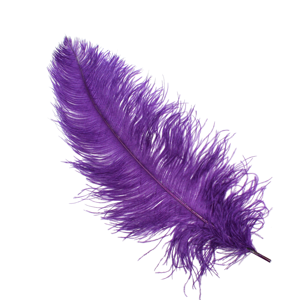 Ostrich Wing Plumes 1st Quality20