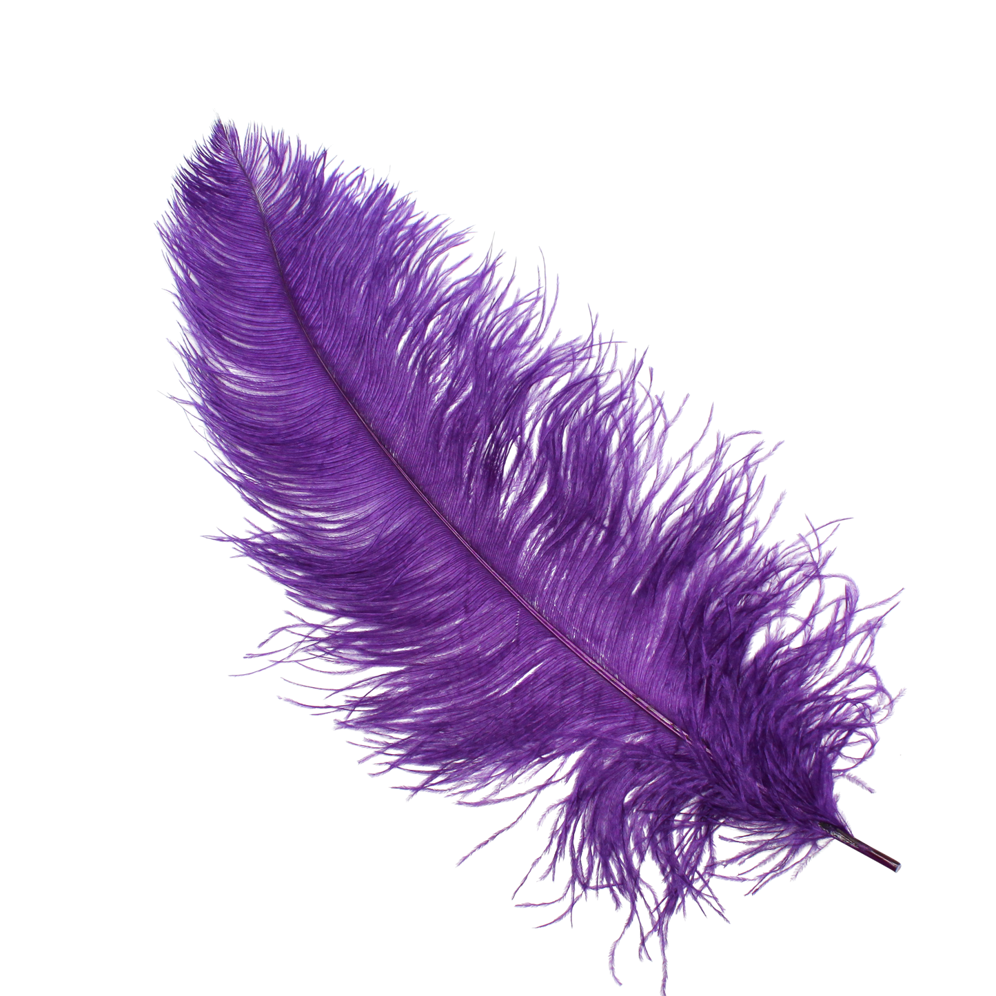 Ostrich Wing Plumes 2nd Quality20"+ H75 Purple