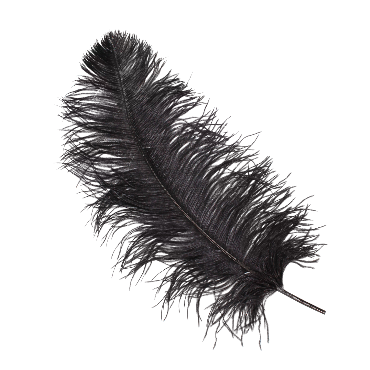 Ostrich Wing Plumes 2nd Quality20"+ H80 Black