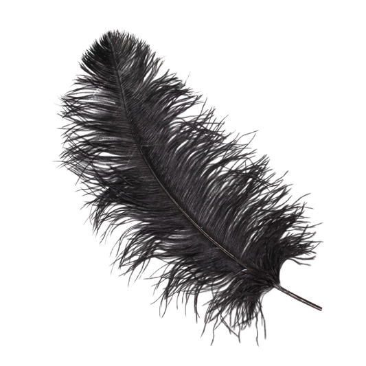 Ostrich Wing Plumes 2nd Quality20"+ H80 Black