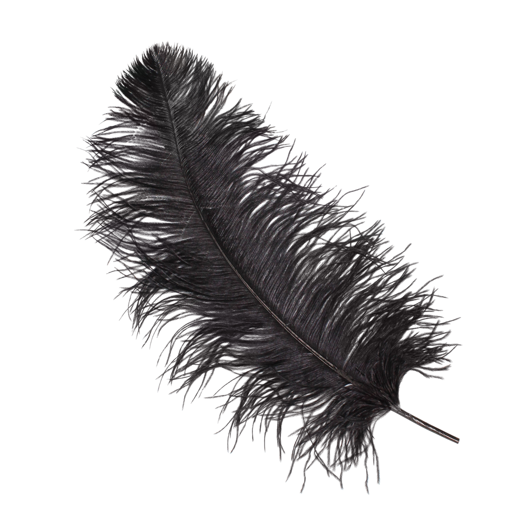 Ostrich Wing Plumes 1st Quality20