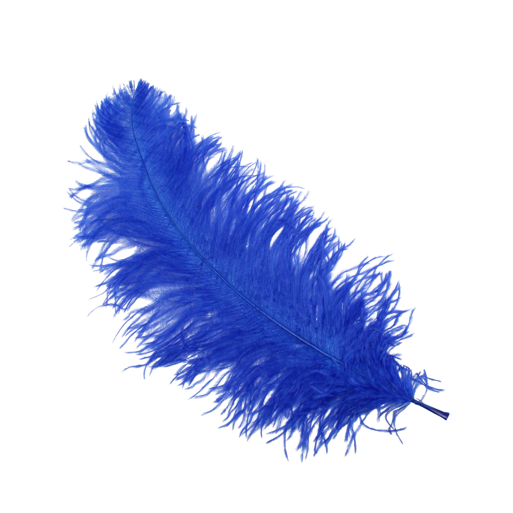 Ostrich Wing Plumes 1st Quality20