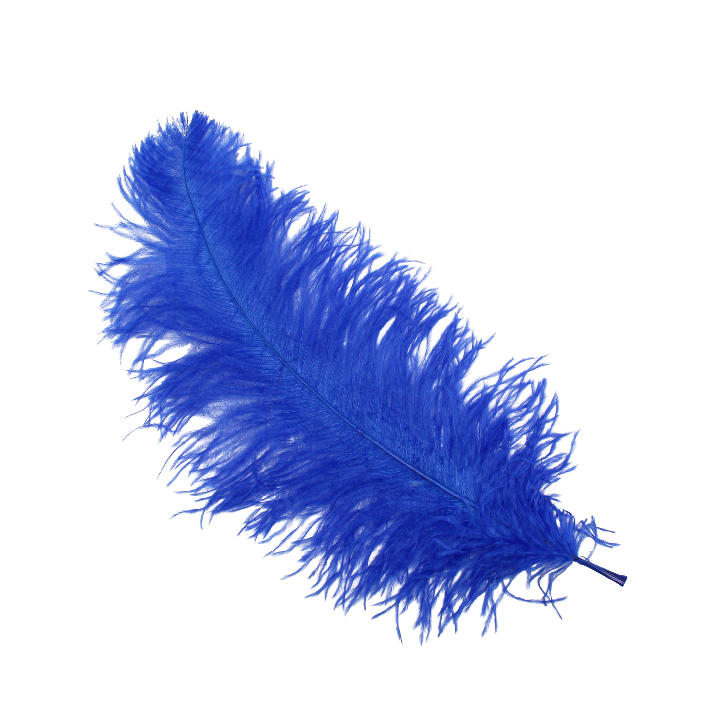 Ostrich Wing Plumes 2nd Quality20"+ H17 Royal Blue