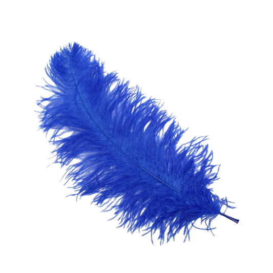 Ostrich Wing Plumes 2nd Quality20"+ H17 Royal Blue