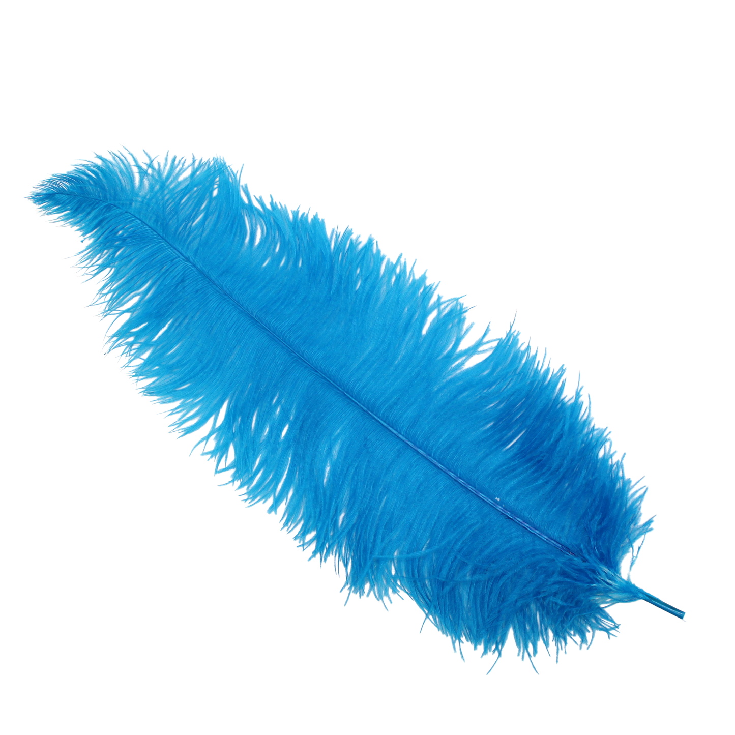 Ostrich Wing Plumes 2nd Quality20"+ H100 Turquoise