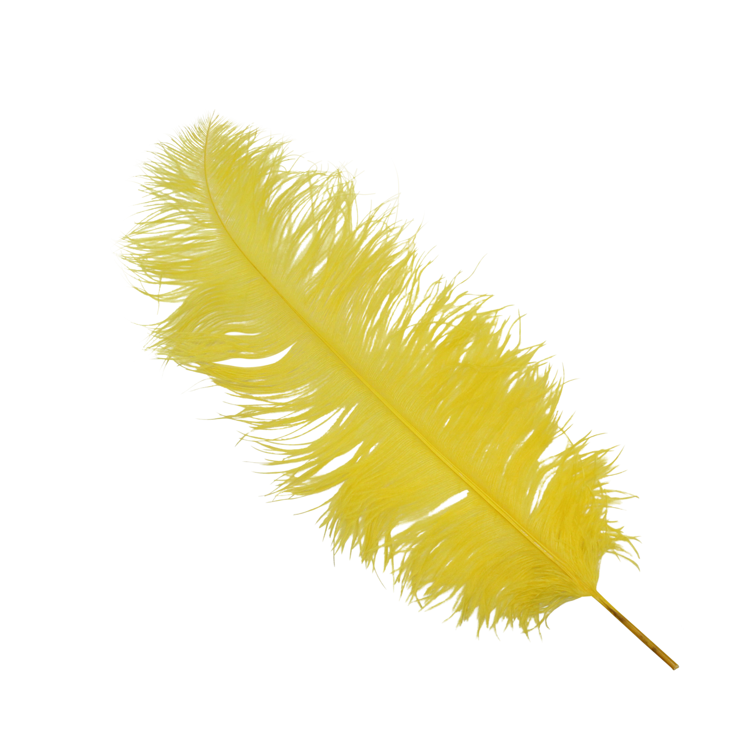 Ostrich Wing Plumes 2nd Quality20"+ H36 Yellow