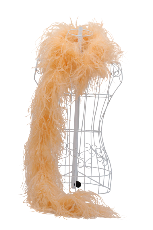 Feather Boa Ostrich H58 Apricot