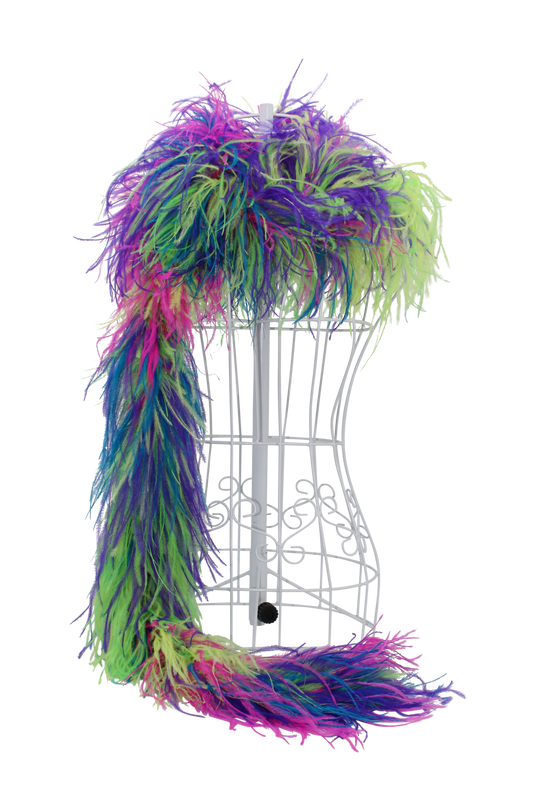 Feather Boa Ostrich Neon Rainbow