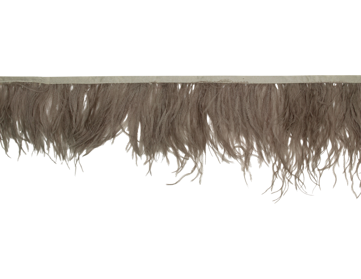 Ostrich Fringe 5-7" H49 Platinum