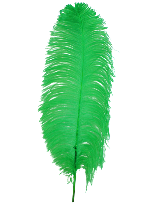 Ostrich Wing Plumes 1st Quality 20"+ H101 Lime