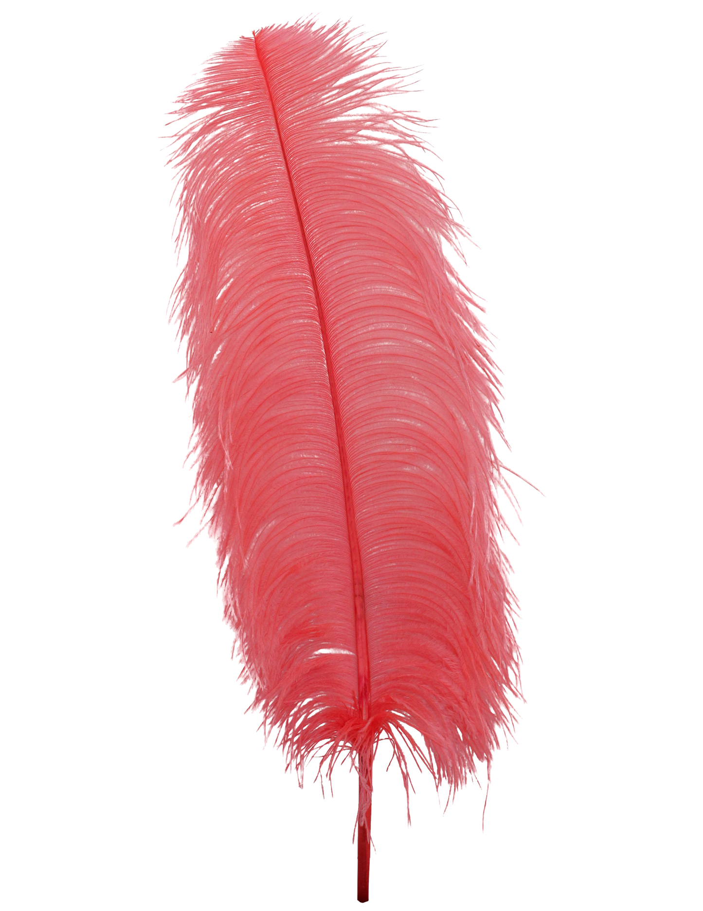 Ostrich Wing Plumes 1st Quality 20"+ H111 Coral