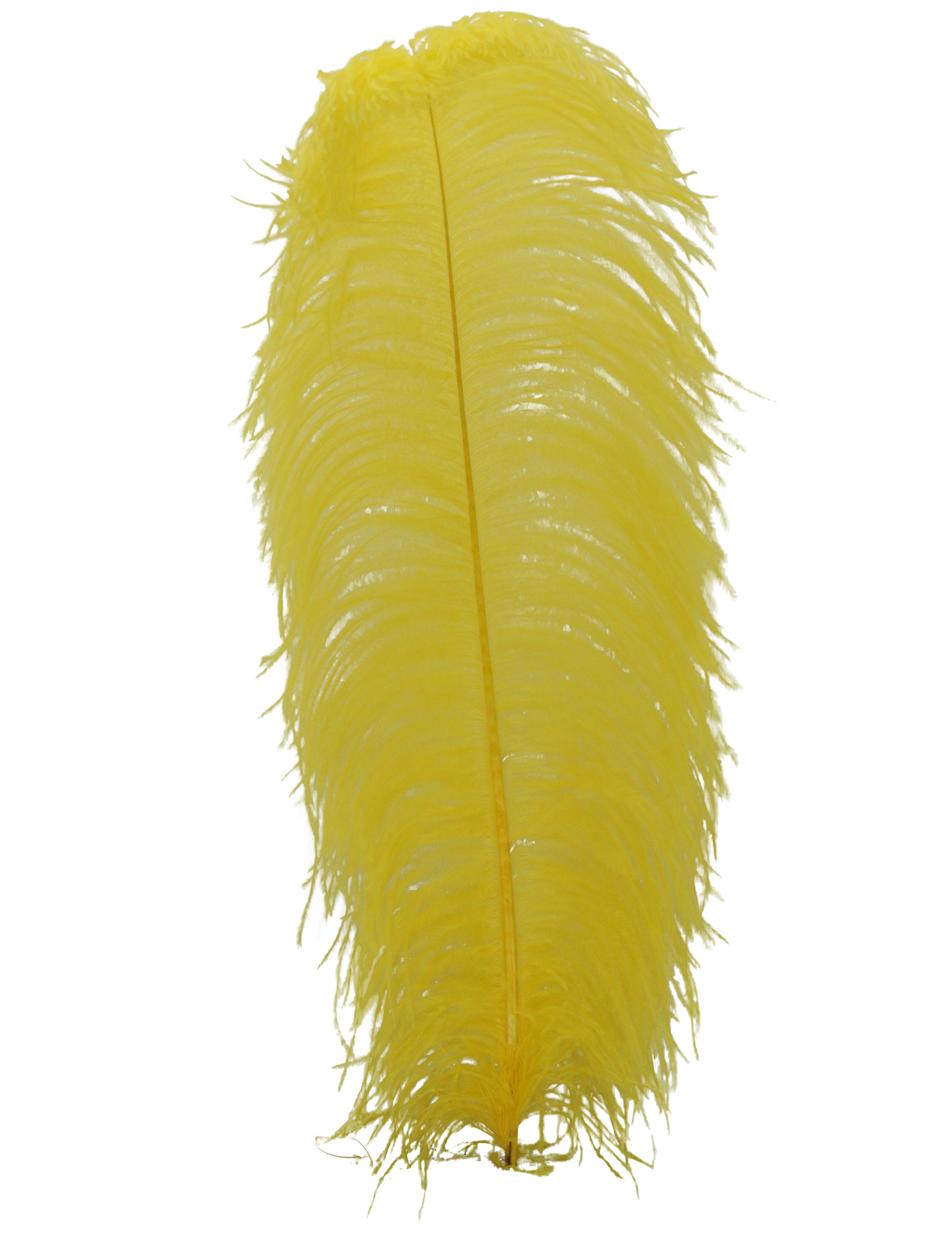 Ostrich Wing Plumes 1st Quality 20"+ H36 Yellow