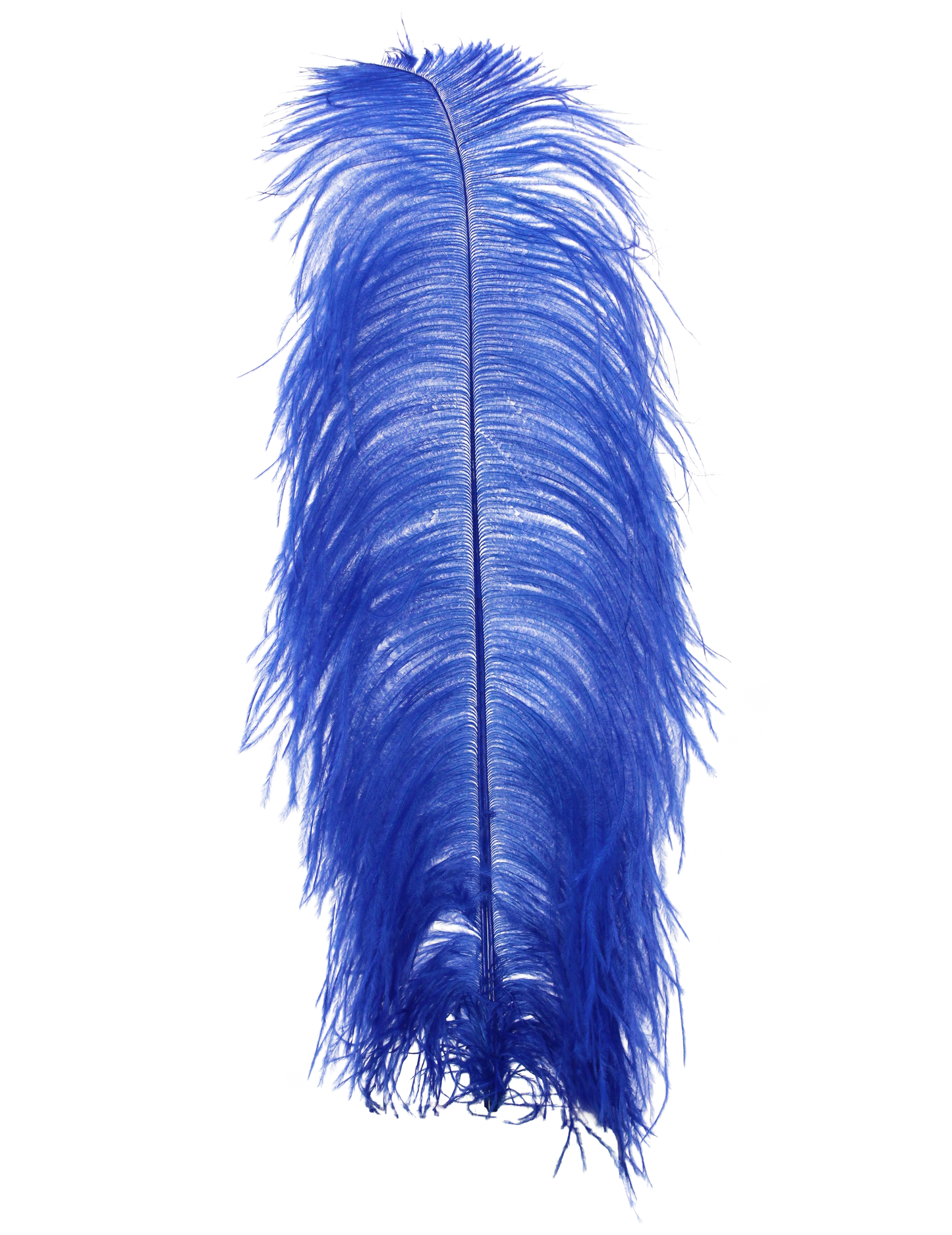 Ostrich Wing Plumes 1st Quality 20"+ H18 Sapphire