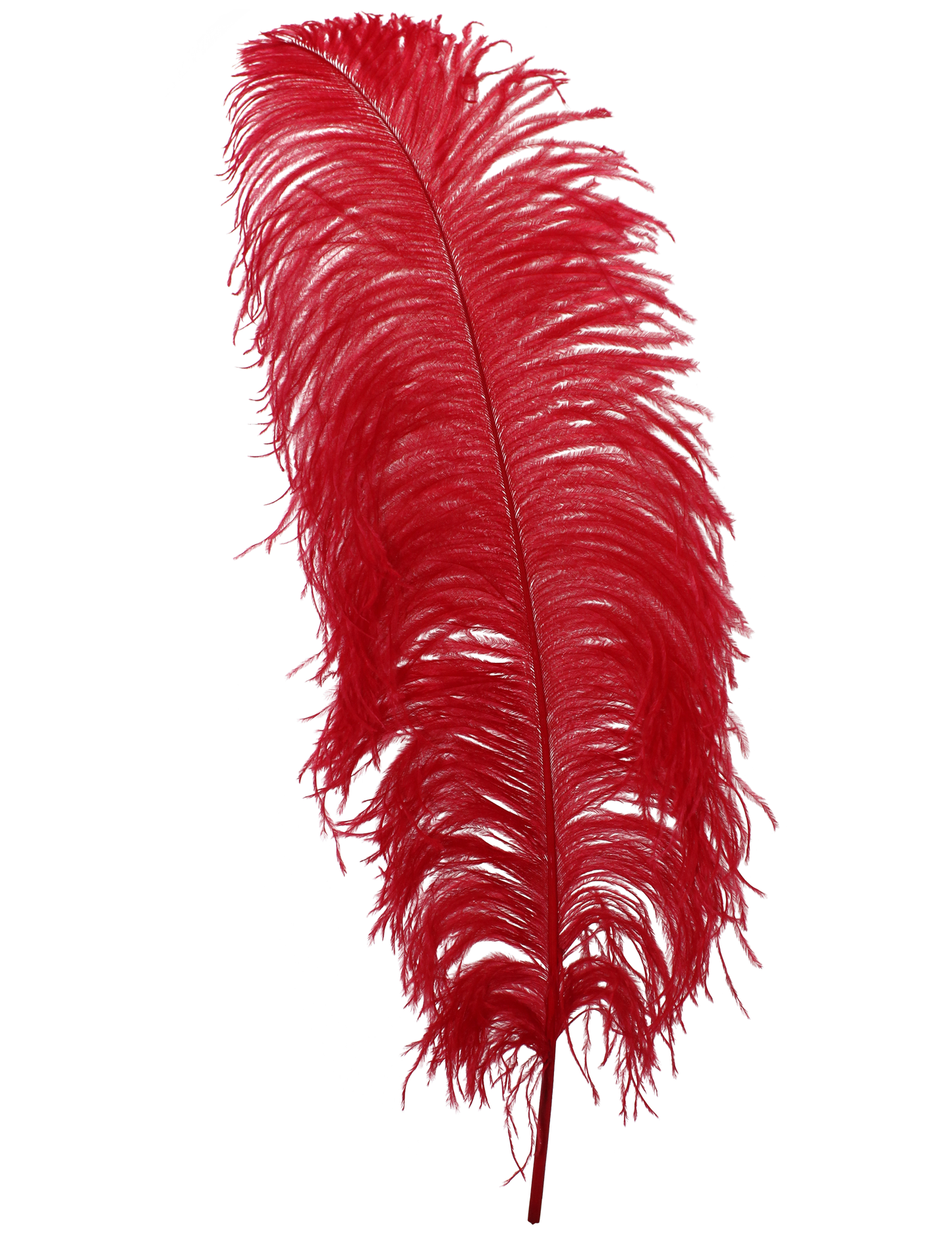 Ostrich Wing Plumes 1st Quality 20"+ H72 Red