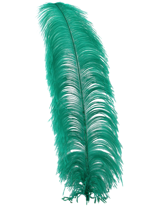 Ostrich Wing Plumes 1st Quality 20"+ H87 Aquamarine