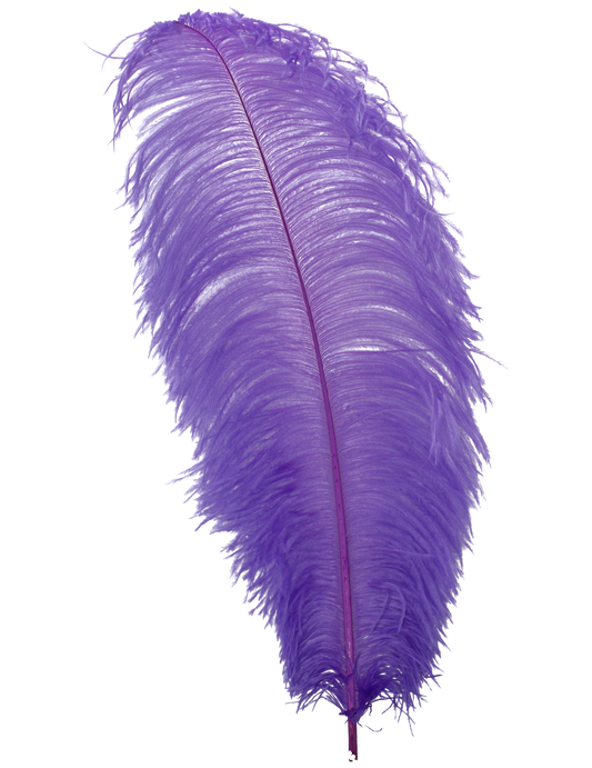 Ostrich Wing Plumes 1st Quality 20"+ H89 Lavender